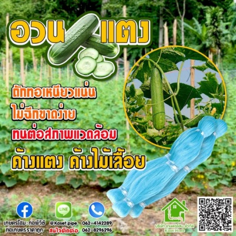 อวนแตง
